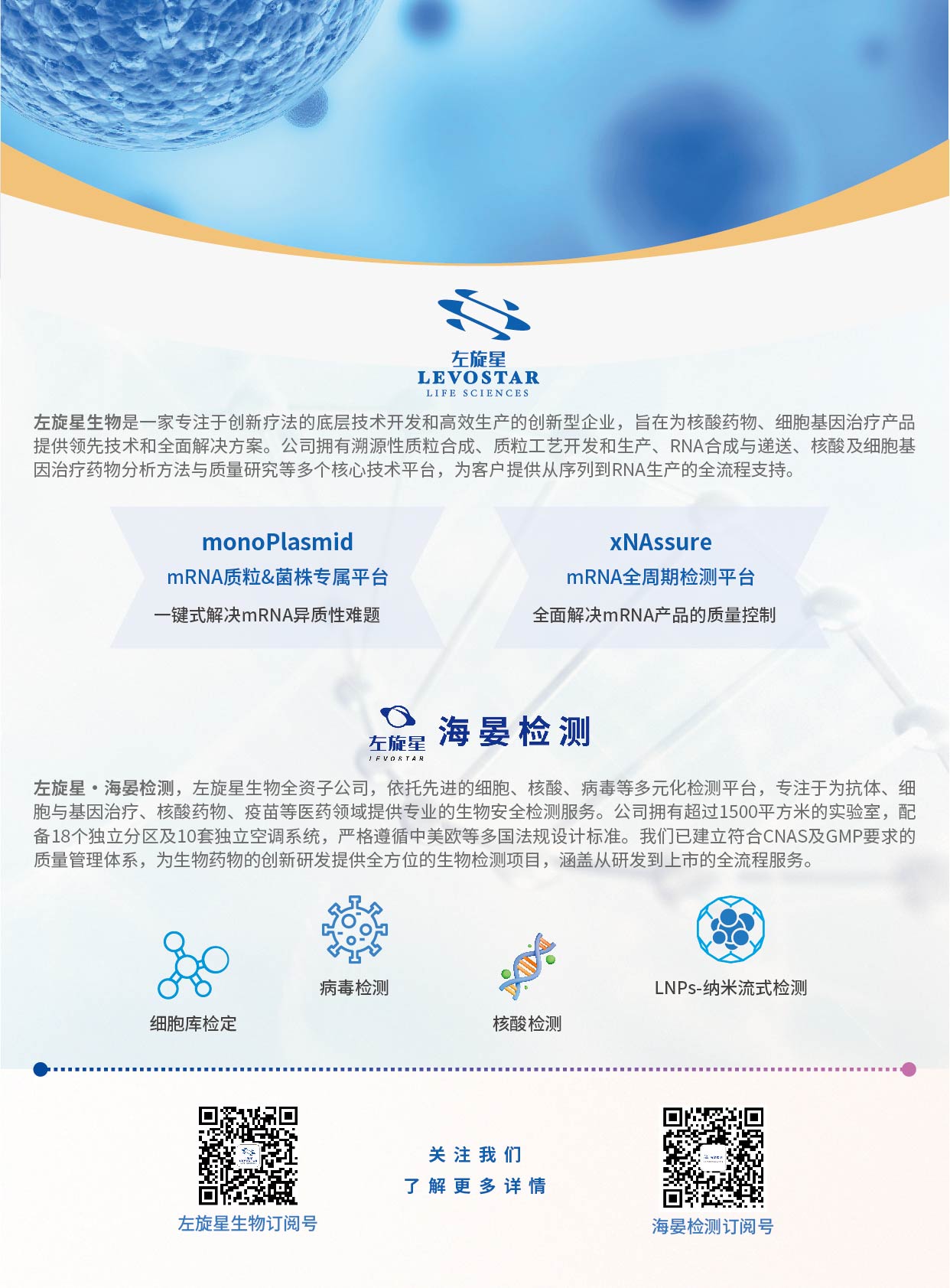 左旋星-插頁-01.jpg