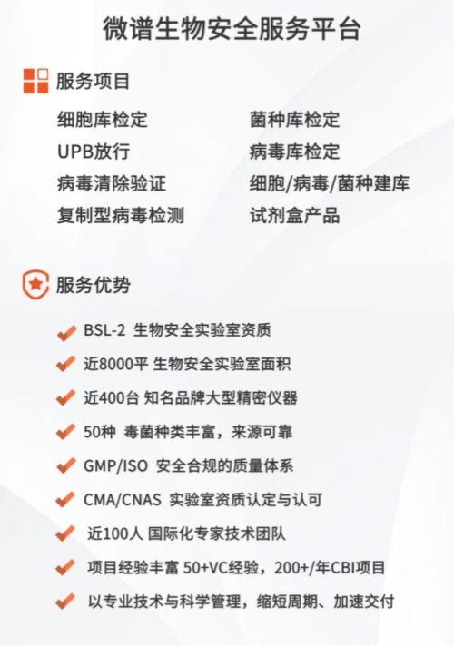 copy_副本1.jpg